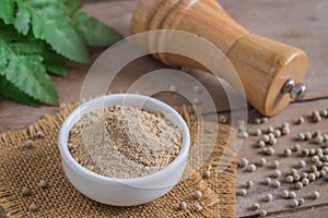 Ground white pepper in bowl and pepper shaker