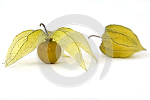 Groundcherries - Physalis