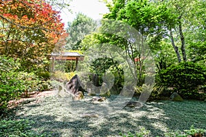 Groundcover in Japanese Garden