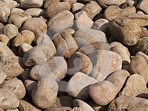 A Groundcover of Large Stones