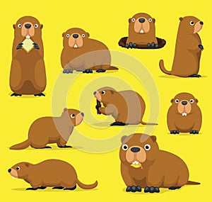 Groundhog Chuck Woodchuck Groundpig Whistlepig Cute Cartoon Vector Illustration