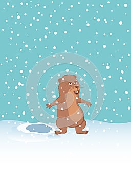 Groundhog climbed out of the hole and rejoices to snowfall.