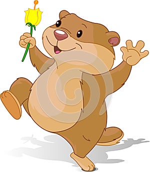 Groundhog dancing with first flower