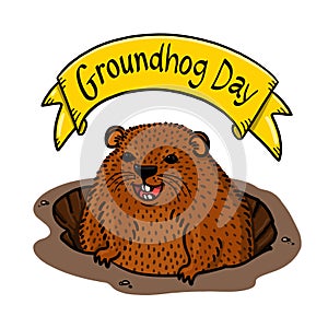Groundhog day celebration with cute marmot illustration