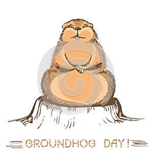 Groundhog day marmot.Vector illustration on white
