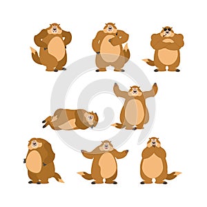Groundhog set poses and motion. Woodchuck happy and yoga. Marmot