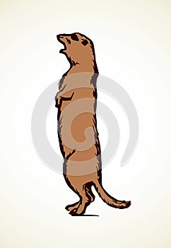 Groundhog. Vector illustration