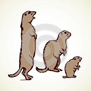 Groundhog. Vector illustration