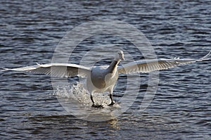 Grounding photo