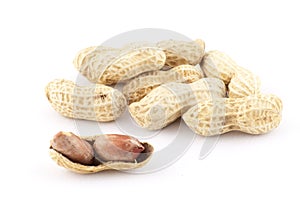 Groundnut