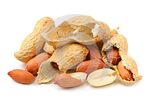 Groundnut photo