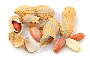 Groundnut