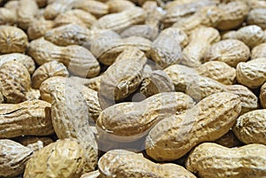 Groundnut