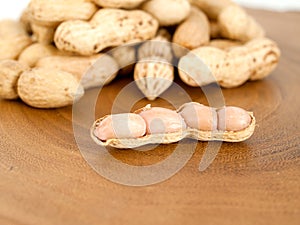Groundnut