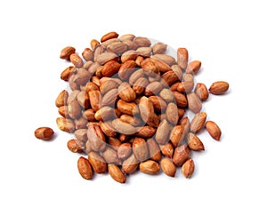 Groundnut-Isolated
