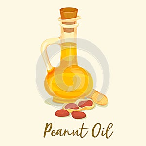 Groundnut or peanut oil in bottle or jar near nut photo