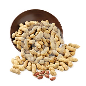 Groundnut in plate