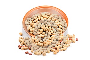 Groundnut in plate