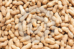 Groundnuts