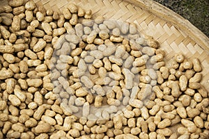 Groundnuts Being Dried