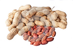 Groundnuts isolated