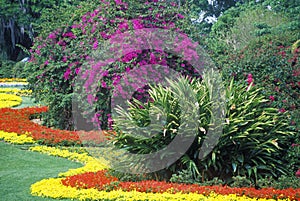 Grounds of Cypress Gardens, FL