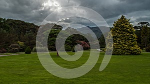 Grounds at Muckross House