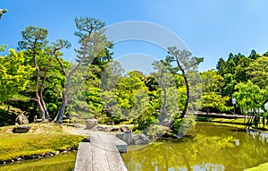 Grounds of Nara Park in Kansai Region - Japan photo