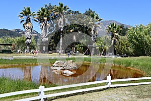Grounds of Old Faithful Geyser of California in Calistoga, California