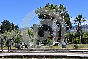 Grounds of Old Faithful Geyser of California in Calistoga, California
