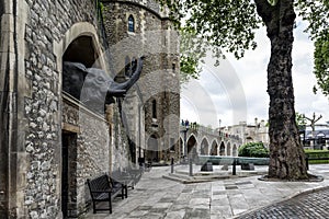 Grounds at the Tower of London