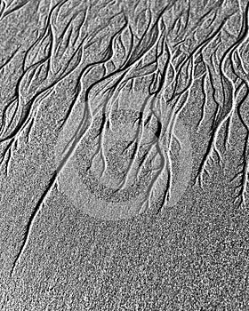 Groundwater channels on sand