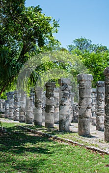 Group of the 1000 Columns at Chichen Itza, Yucatan, Mexico