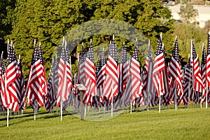 A group of 1776 American flags on Memorial Day
