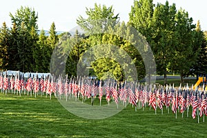 A group of 1776 American flags on Memorial Day