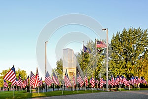 A group of 1776 American flags on Memorial Day