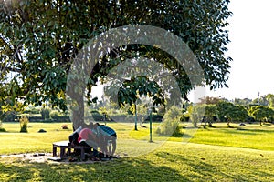 Group of adult friends playing board game in a garden in shade