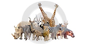 Group of africa animals photo