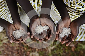 Group of African Black Children Holding Rice Malnutrition Starvation Hunger. Starving Hunger Symbol. Black African girls holding photo