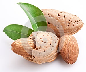 Group of almond nuts.