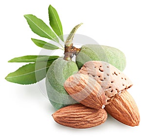 Group of almond nuts.