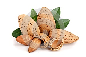 Skupina z mandle ořechy listy izolované na bílém pozadí 