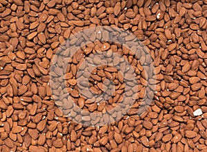 A group of almonds. pattern