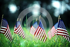 Group of American flags in green grass