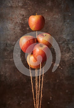 Group of apples floating on threads composition