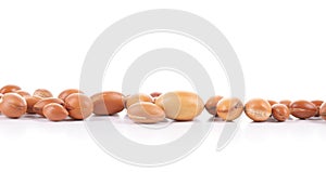 Group of argan nuts on a white background.