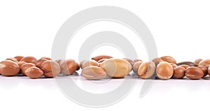 Group of argan nuts on a white background.