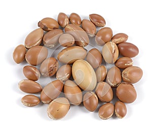 Group of argan nuts on a white background.