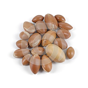 Group of argan nuts on a white background.