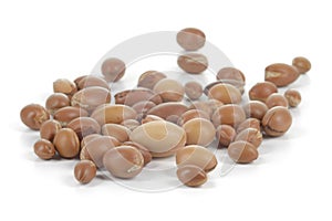 Group of argan nuts on white background.